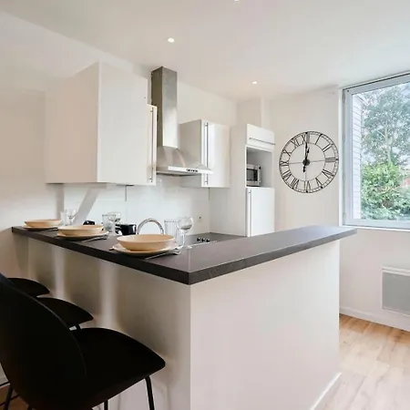 Renovated 1 Bedroom Apartment- Lille La Madeleine (Nord)